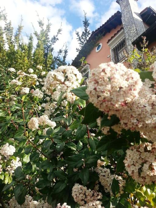 Villa Tethys Mountain Resort Zákas Esterno foto