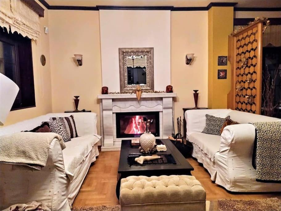 Villa Tethys Mountain Resort Zákas Esterno foto
