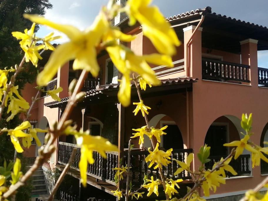 Villa Tethys Mountain Resort Zákas Esterno foto