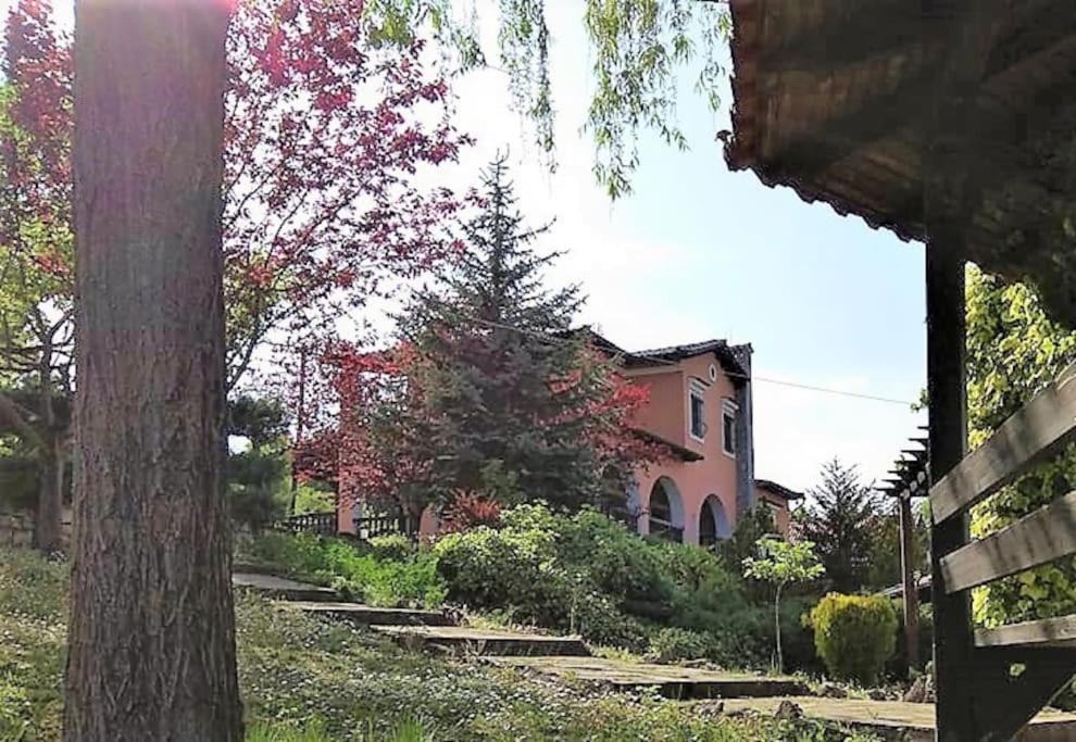 Villa Tethys Mountain Resort Zákas Esterno foto