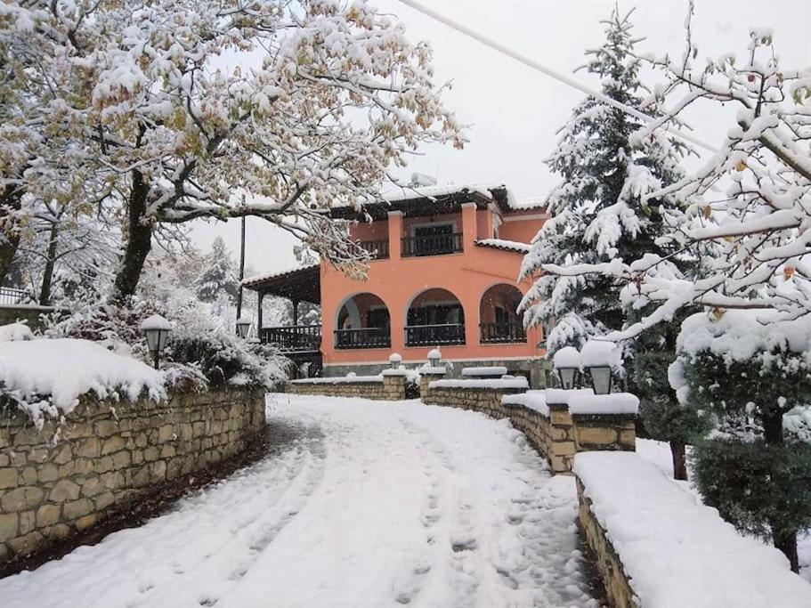 Villa Tethys Mountain Resort Zákas Esterno foto